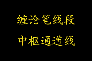 文华期货缠论笔线段中枢自动画线指标