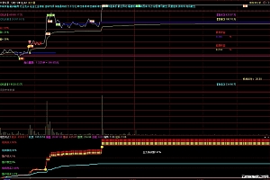 通达信抓涨停分时起爆机构散户买卖主力净买主图+幅图指标
