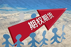 上海:推动更多期货和期权品种上市、对外开放