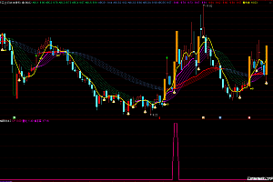 通达信精品指标N字双板 高价值私藏附图选股指标 板后冲高回落