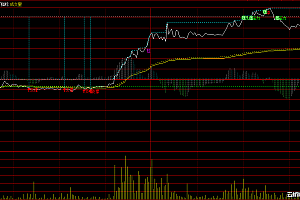通达信分时支撑压力,做T抓牛,分时做T 0神奇主图指标公式