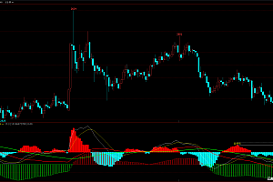文华财经期货指标公式大全-macd周期共振多空幅图指标源码