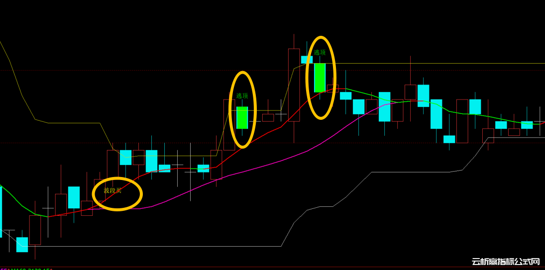 文华财经波段买入逃顶-高低支撑压力线指标公式